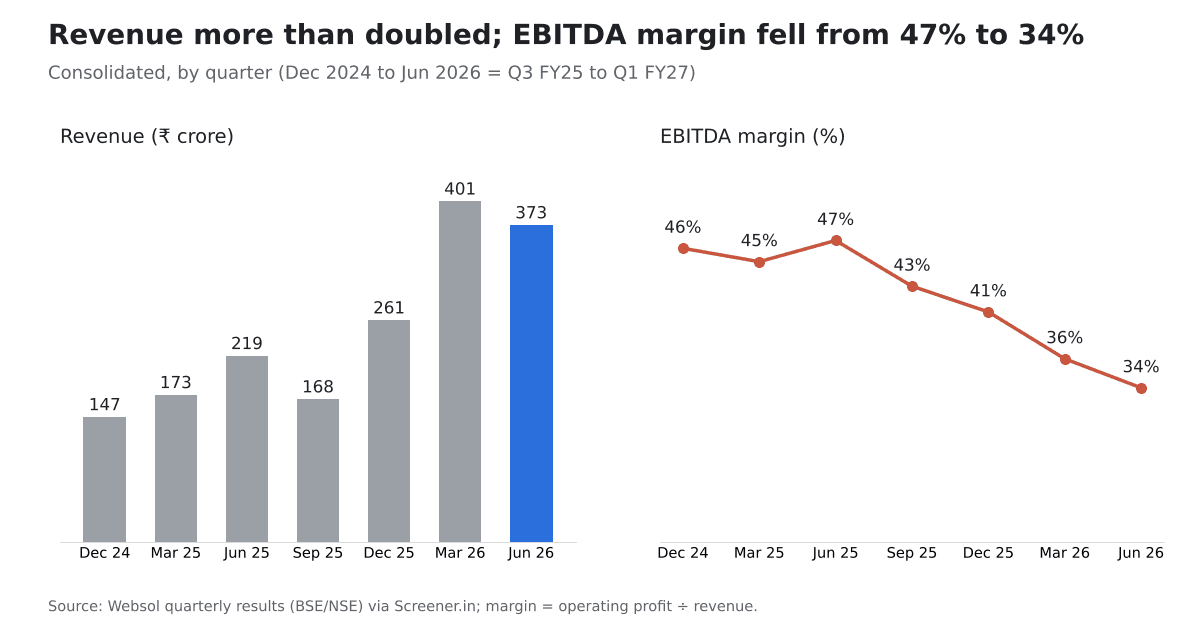 Websol quarterly revenue rising to ₹373 crore while EBITDA margin falls from 47% to 34%